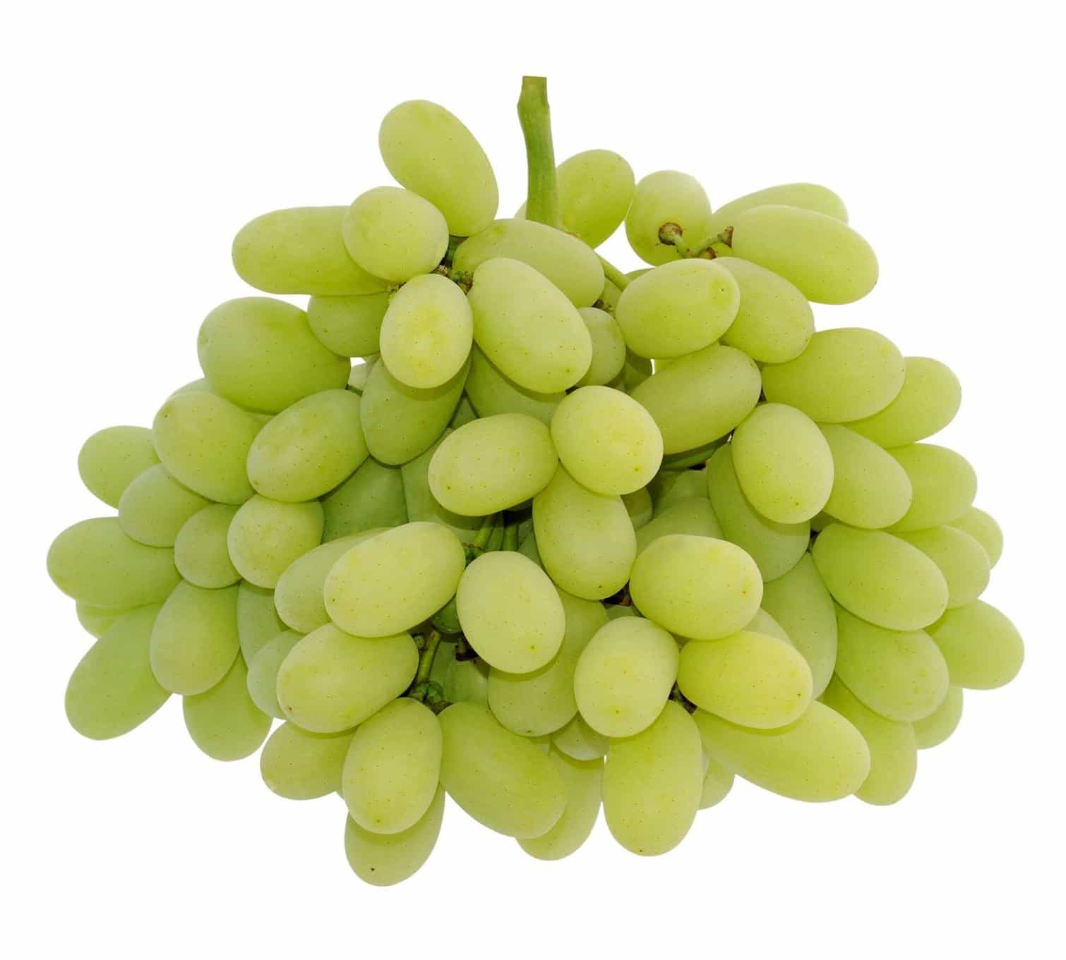Pristine Grapes from Delano Farms and Four Star Fruit, Delano